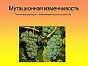 Геномные мутации