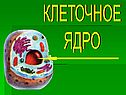 Клеточное ядро