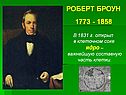 Роберт броун