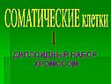 Диплоидный набор хромосом