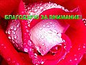 Благодарю за внимание