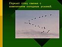 Перелет птиц связан с изменением погодных условий