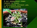 Явления природы