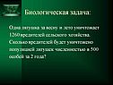 Биологическая задача
