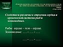 Сходство и различие