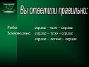 Рыбы