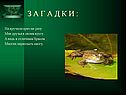 Приз