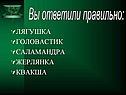 Лягушка