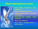 Общая характеристика класса
