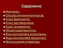 Содержание