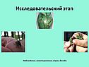 Наблюдение