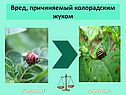 Приложение