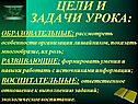 Особенности организации лишайников