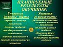 Строение слоевища лишайника
