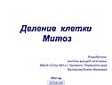 Деление клетки
