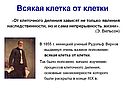 Клетка