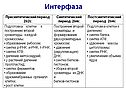 Интерфаза