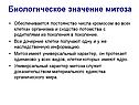 Биологическое значение митоза