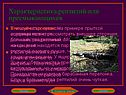 Внешнее строение