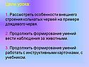 Цели урока