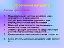 Закрепление материала
