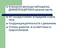 Дифференцировка органов чувств