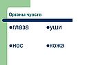 Глаза