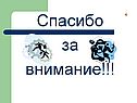 Спасибо за внимание