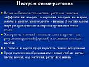 Пестролистные растения
