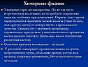 Химерные фиалки
