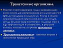 Трансгенные организмы