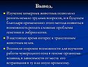 Изучение химерных животных
