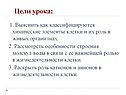 Цели урока: