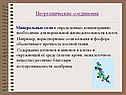 Минеральные соли