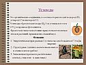 Углеводы
