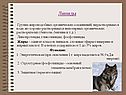 Липиды