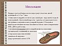 Митохондрии