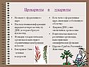Прокариоты и эукариоты