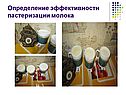 Определение эффективности пастеризации молока