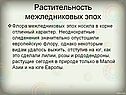 Растительность межледниковых эпох