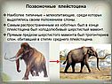 Позвоночные плейстоцена