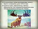 Межледниковые эпохи