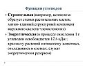 Функции углеводов