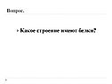 Какое строение имеют белки