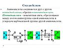 Аминокислоты
