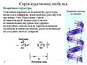 Каков химический состав клетки
