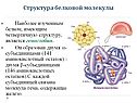 Гемоглобин