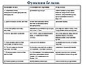 Функции белков