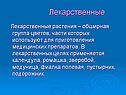 Лекарственные растения