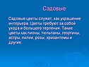 Садовые цветы